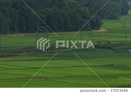 Rural scenery in Chiba in summer Rural scenery in Chiba in summer 37053646