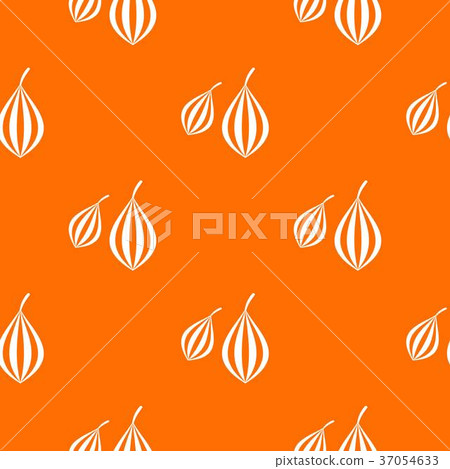 Trachyspermum ammi pattern seamless Trachyspermum ammi pattern seamless 37054633