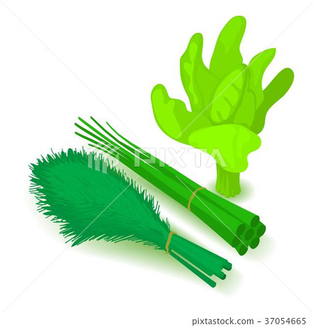 Green vegetable icon, cartoon isometric 3d style 37054665