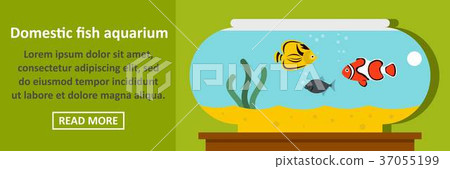 Domestic fish aquarium banner horizontal concept Domestic fish aquarium banner horizontal concept 37055199