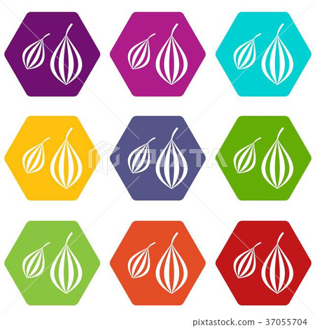 Trachyspermum ammi icon set color hexahedron 37055704