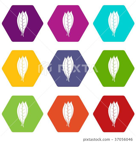 Culinary bay leaves icon set color hexahedron Culinary bay leaves icon set color hexahedron 37056046