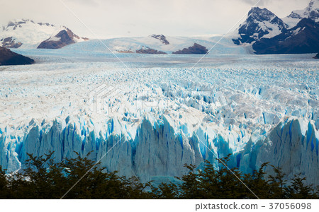 Perito Moreno Glacier 37056098