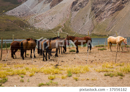 Lake Valle Hermoso Laguna near Andes 37056182