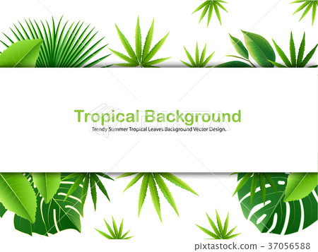 Bright tropical background with jungle plants. Bright tropical background with jungle plants. 37056588