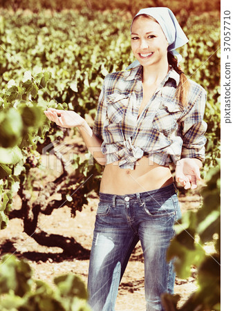 Woman gardener standing among grapes trees 37057710