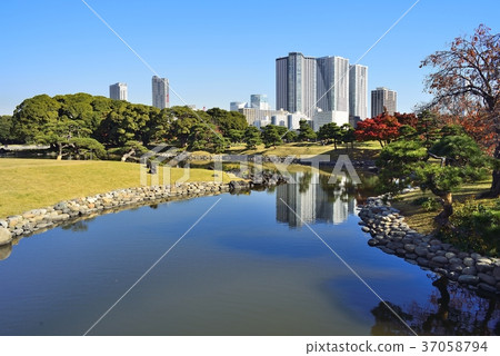 東京都市風景Hamarikyu 東京都市風景Hamarikyu 37058794