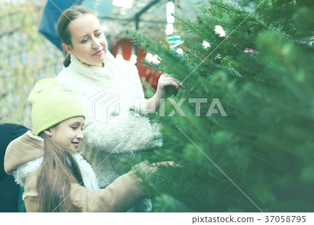 mother and daughter choose tree 37058795