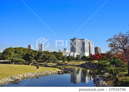 東京都市風景Hamarikyu 東京都市風景Hamarikyu 37058796