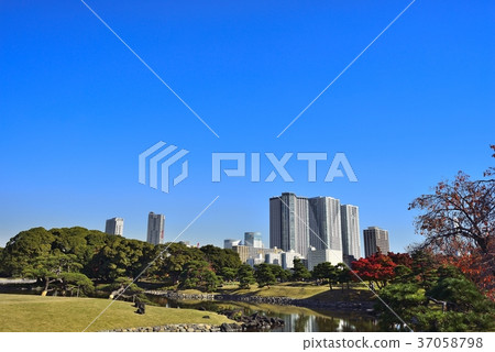東京都市風景Hamarikyu 37058798