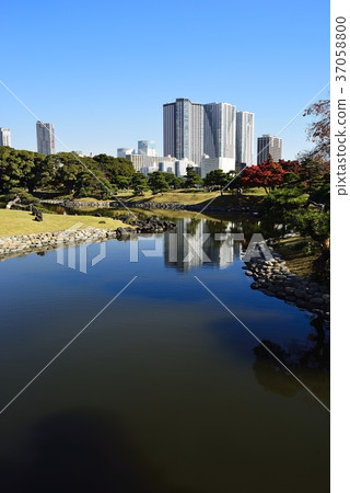 東京都市風景Hamarikyu 東京都市風景Hamarikyu 37058800