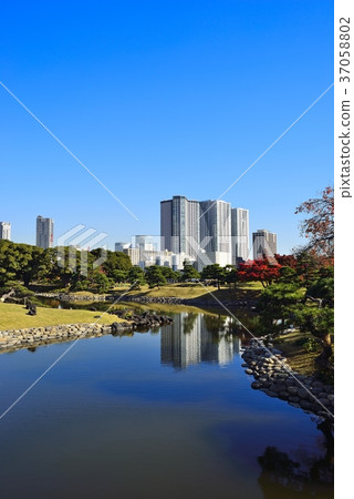 東京都市風景Hamarikyu 東京都市風景Hamarikyu 37058802