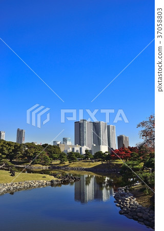 東京都市風景Hamarikyu 東京都市風景Hamarikyu 37058803