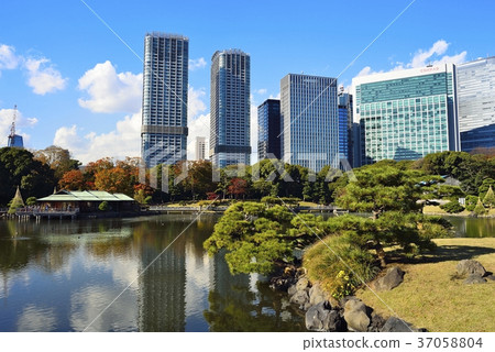 東京都市風景Hamarikyu 東京都市風景Hamarikyu 37058804