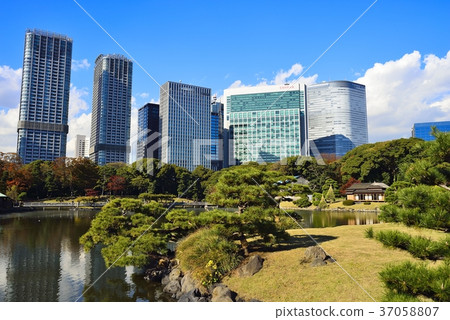 東京都市風景Hamarikyu 東京都市風景Hamarikyu 37058807