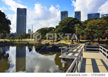 東京都市風景Hamarikyu 37058860