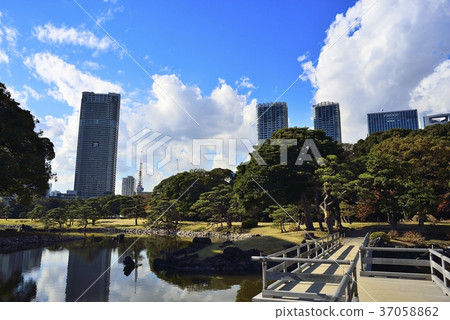 東京都市風景Hamarikyu 東京都市風景Hamarikyu 37058862