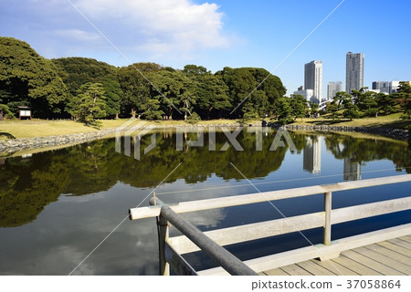 東京都市風景Hamarikyu 東京都市風景Hamarikyu 37058864