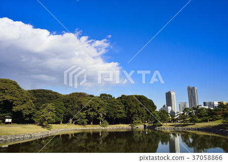 東京都市風景Hamarikyu 37058866