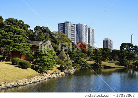 東京都市風景Hamarikyu 37058868