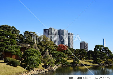 東京都市風景Hamarikyu 東京都市風景Hamarikyu 37058870