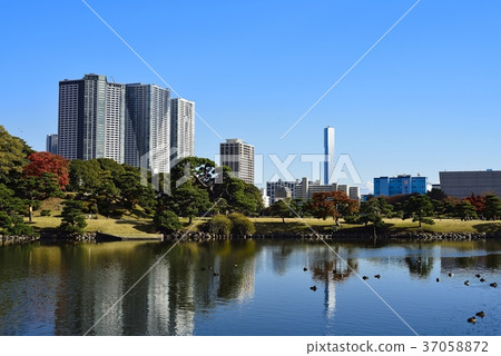 東京都市風景Hamarikyu 東京都市風景Hamarikyu 37058872