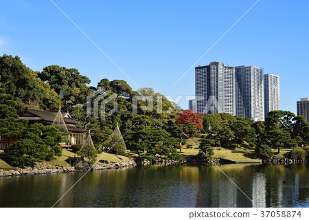 東京都市風景Hamarikyu 東京都市風景Hamarikyu 37058874