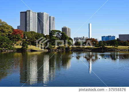 東京都市風景Hamarikyu 東京都市風景Hamarikyu 37058876