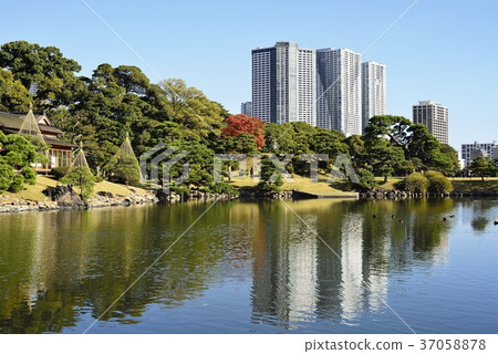 東京都市風景Hamarikyu 東京都市風景Hamarikyu 37058878