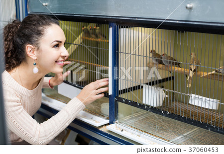 female customer buying new bird in pet shop 37060453