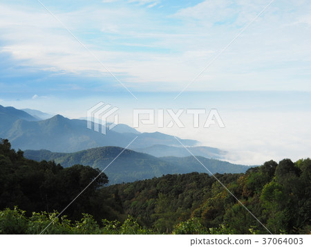 mist on Inthanon National Park 37064003