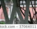 W 37064011