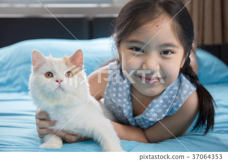 Little Asian girl holding her Scottish fold kitten Little Asian girl holding her Scottish fold kitten 37064353