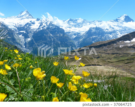 從Filst到Bach Alpse到阿爾卑斯山的遠足徑 從Filst到Bach Alpse到阿爾卑斯山的遠足徑 37064725