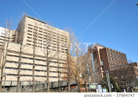 東京醫科Den科大學 東京醫科Den科大學 37064747