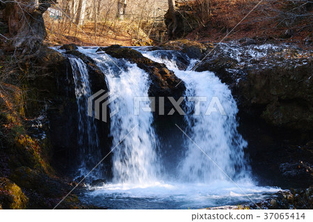 Waterfall at Kaneyama 37065414