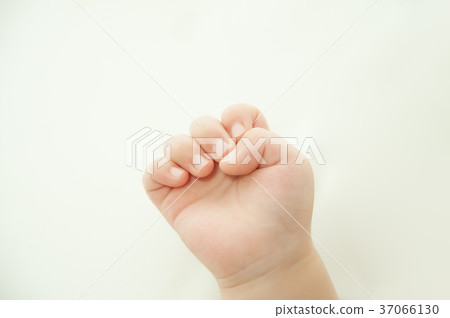 Baby hand Baby hand 37066130