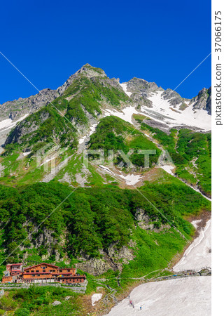 藍天和Natsuyama(Kaoru Serizawa) 藍天和Natsuyama(Kaoru Serizawa) 37066175