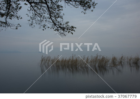 Lake Biwa before sunrise 37067779