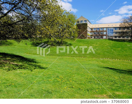 Beautiful parks and buildings at Aarhus University Beautiful parks and buildings at Aarhus University 37068003