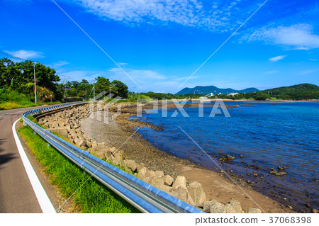 Small Value Kajima Small Value Port Small Value Kajima Small Value Port 37068398