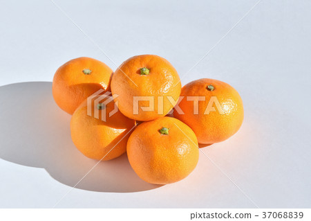 Yamakita橙色 Yamakita橙色 37068839