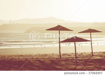 Sunset in the background in the beach at Essaouira 37068907
