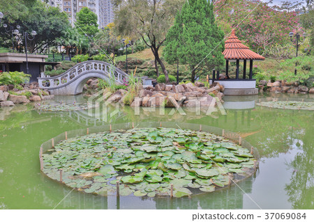 the sha tin park at hong kong day time 37069084