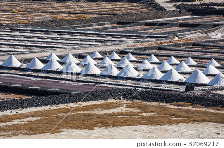 Salinas de Janubio, saltworks in Lanzarote 37069217