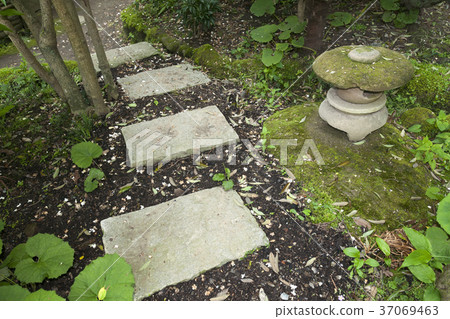 Japanese garden Japanese garden 37069463