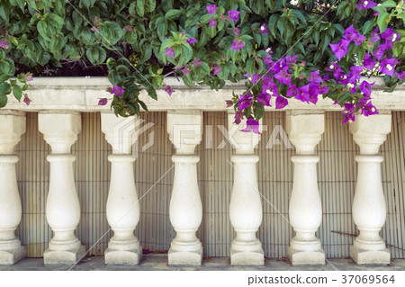 pillars fence pillars fence 37069564