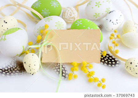 Easter eggs and mimosa flowers on white background Easter eggs and mimosa flowers on white background 37069743