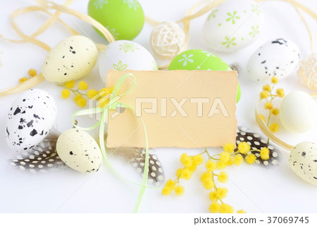 Easter eggs and mimosa flowers on white background Easter eggs and mimosa flowers on white background 37069745