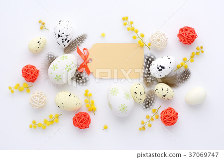 Easter eggs and mimosa flowers on white background Easter eggs and mimosa flowers on white background 37069747